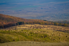 Comuna Breaza, Jud. Buzău